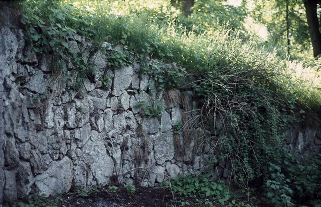 Mauerreste im Gutspark. Das Bild ist shcon etwas älter. In den 70ger Jahre durfte ich einmal in den Park und fotografieren.