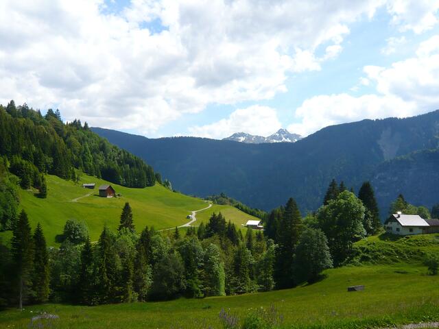 Fast zurück in Dalaas