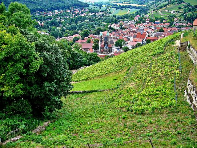 Blick auf Freyburg