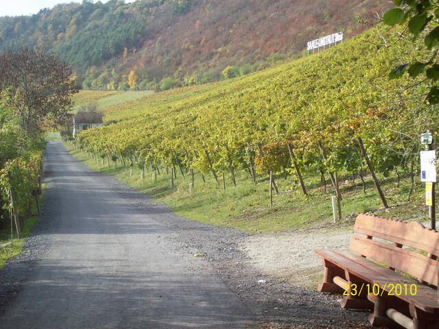 Saalhäuser