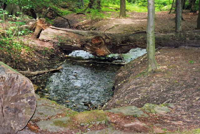 Die Lutterquelle am Rande von Königslutter und dem Elm-Lappwald