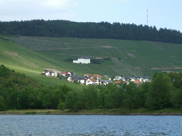 Weingut in Ockfen