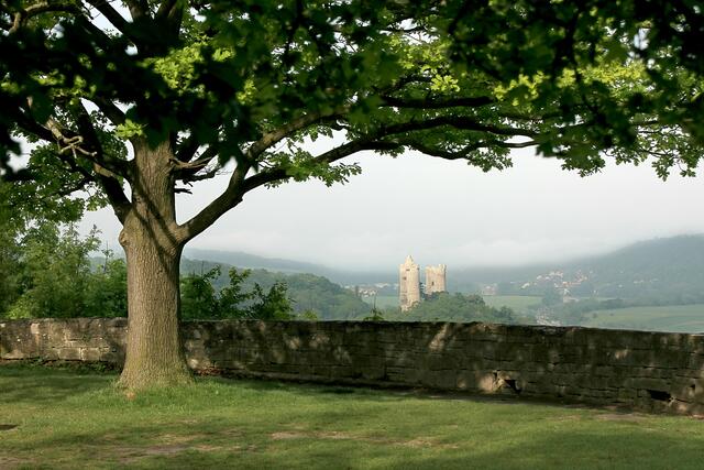 Blick zur Burg Saaleck