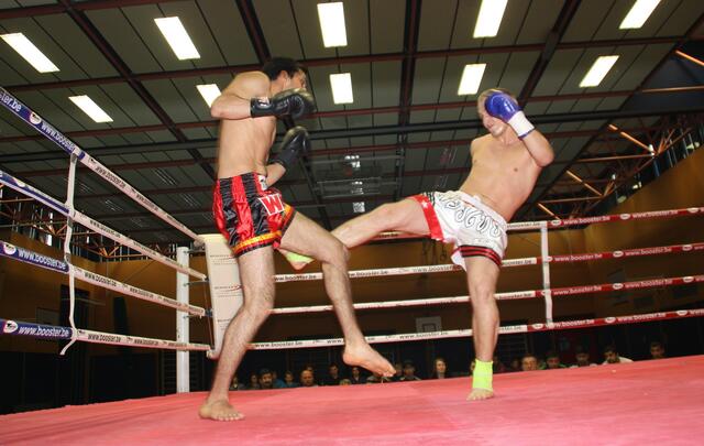Ein Lowkick