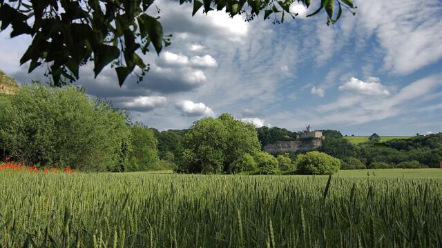 Blick über die Felder zur Rudelsburg