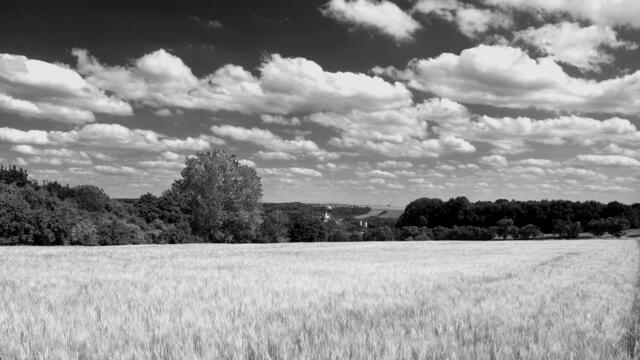 Blick ins Saaletal mit den Burgenpaar Burg Saaleck und Rudelsburg