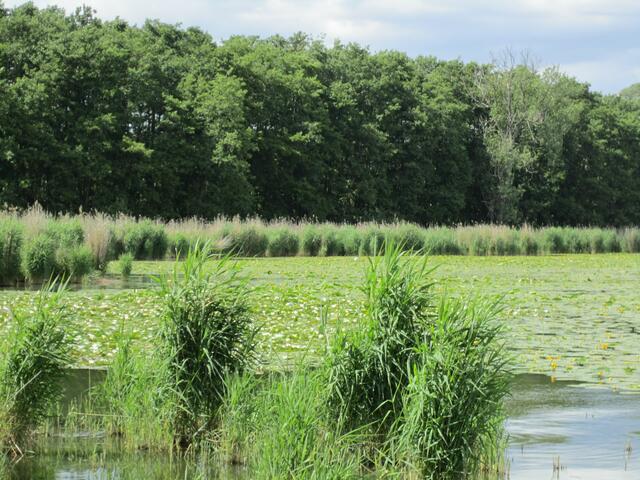 Der Seeburger See