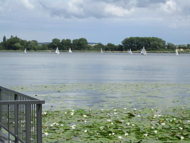 Segelparadies Seeburger See