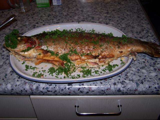 Ein ziemlich fertiger Fisch