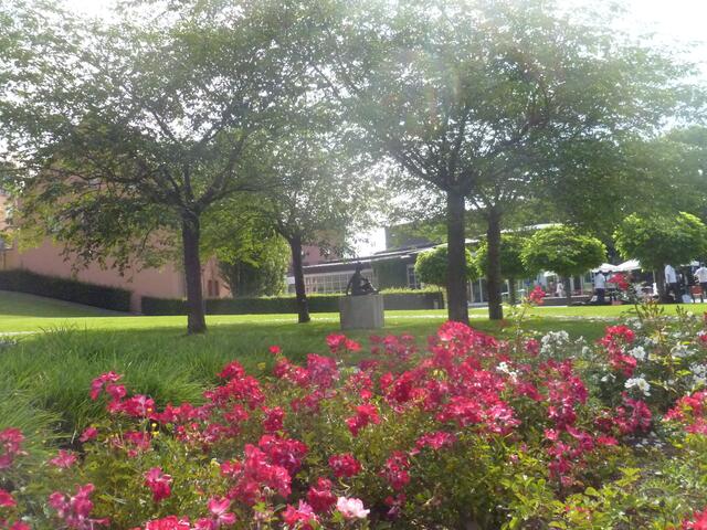 Sehenswerter Park hinter der Stadthalle
