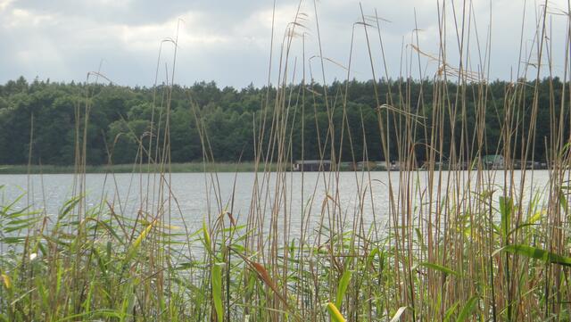 Bootshäuser am anderen Ufer