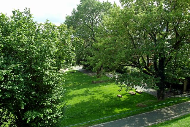 Treppen führen auf die Ebene der ehemaligen Burganlage, von der der Blick über den Park mit seinen Ausgrabungen bis zur Peiner Altstadt reicht.