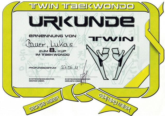 Diese Urkunde weist ihn als Träger des Gelben Gürtel aus ...