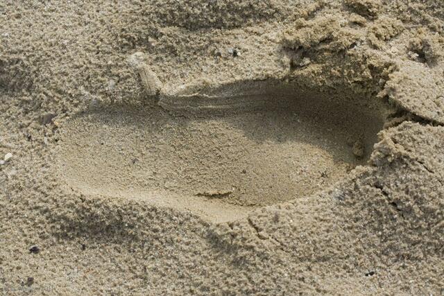 Spuren im Sand