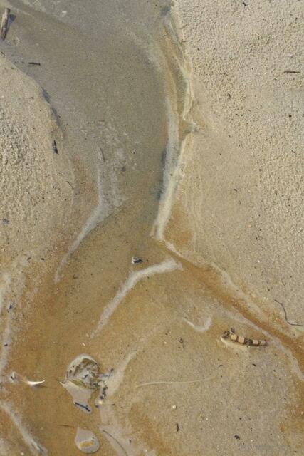 Flussmündung - Satellitenfoto ;-D