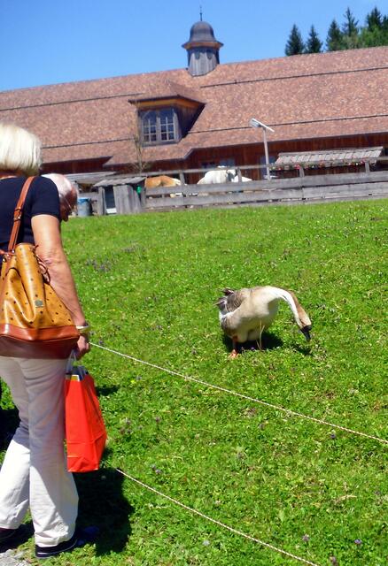 Und führte einen grazilen Tanz auf