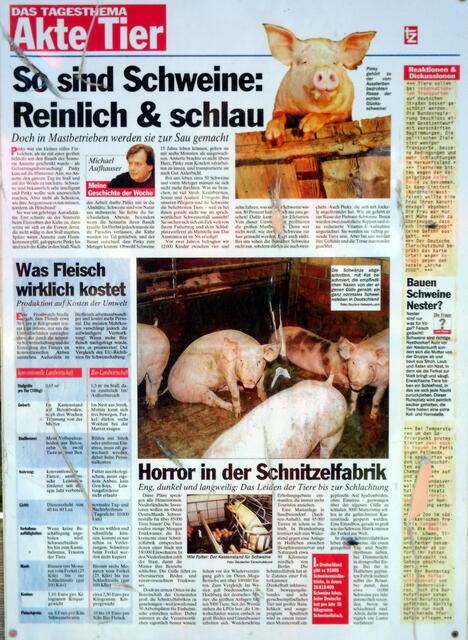 Immer wieder interessante Zeitungsartikel