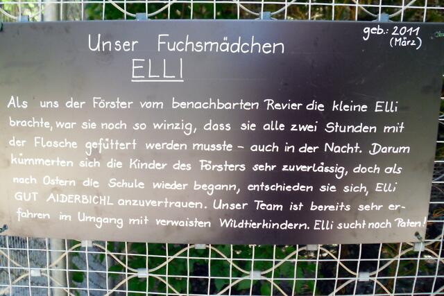 Einfach nur lesen