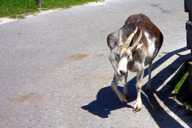 Obwohl so behindert soll sie eine ganz Freche sein.;-))