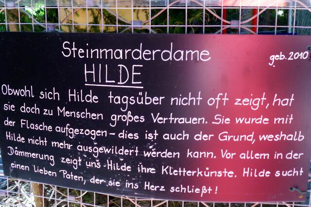 Doch! Gesehen haben wir sie schon