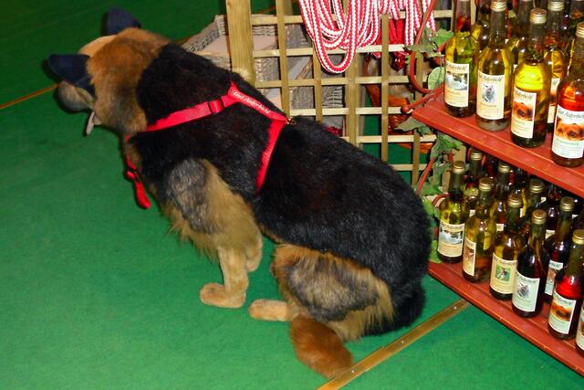 Da ist dieser Hund brav