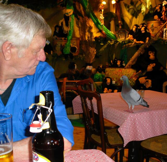 Am Nebentisch wartet eine Taube auf etwas fressbares