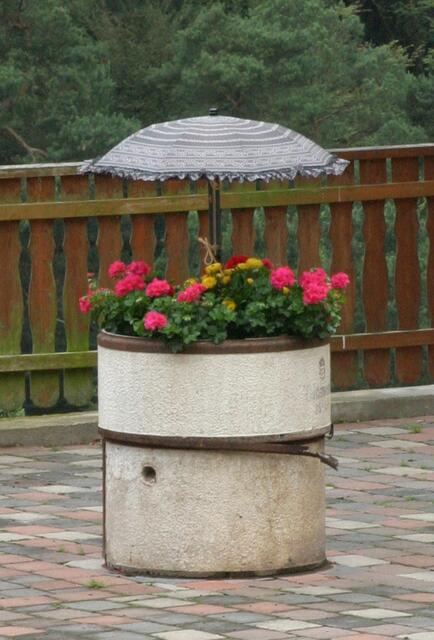 Zu viel Regen?