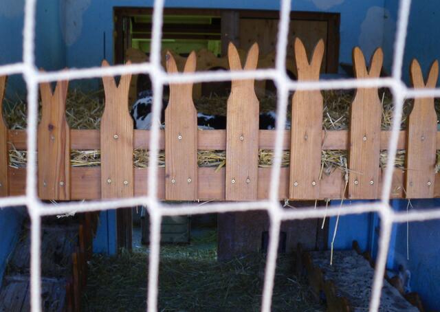 Empore für die Mümmelmänner die Ostern vor der Tür stehen