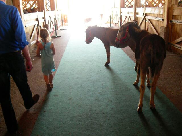 Sie ist immer noch auf der Suche nach dem Pony, das in den Kofferraum passt;-)))