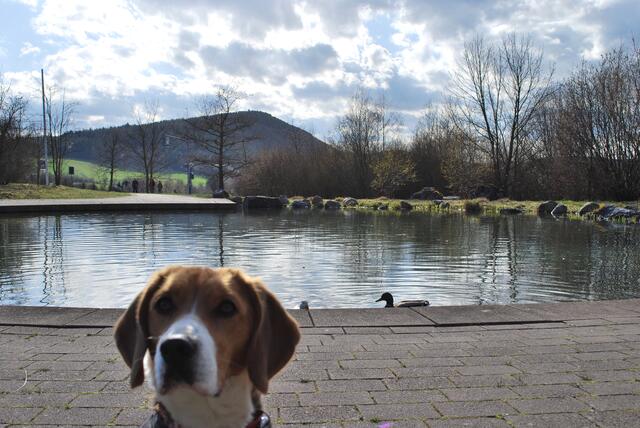 Wer hat sich denn da ins Bild geschmuggelt?