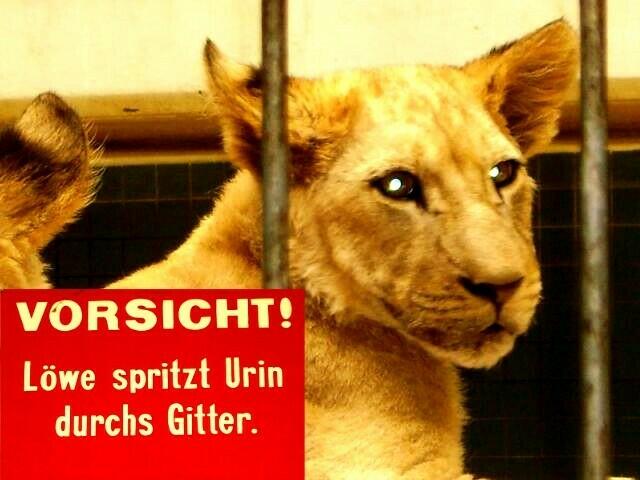 Feuchtes Erlebnis