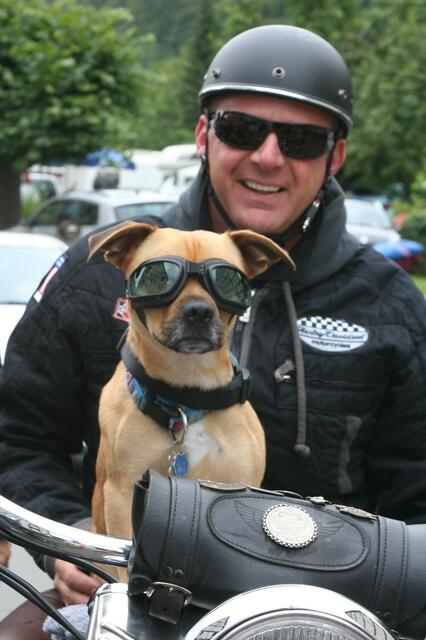 Ein cooler Hund