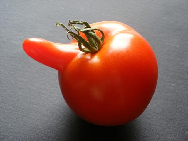 Tomate mit was dran