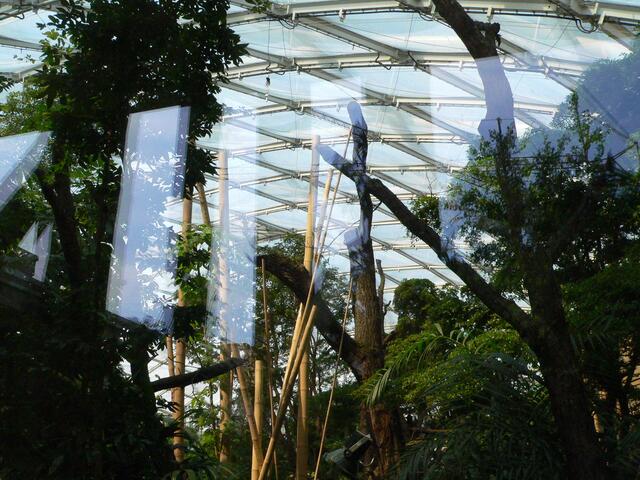 Ein Blick durch die Fensterscheiben in das INnere von Gondwanaland