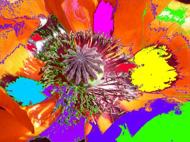 ENR-Malerei werner hahn. Mohn.