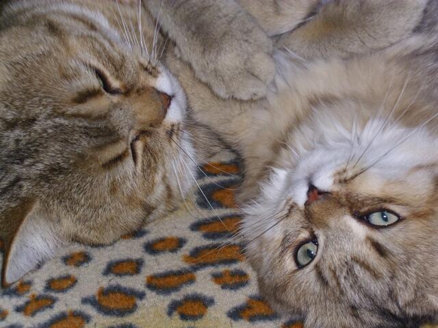 ..ist das schööööööööööööööööööön !