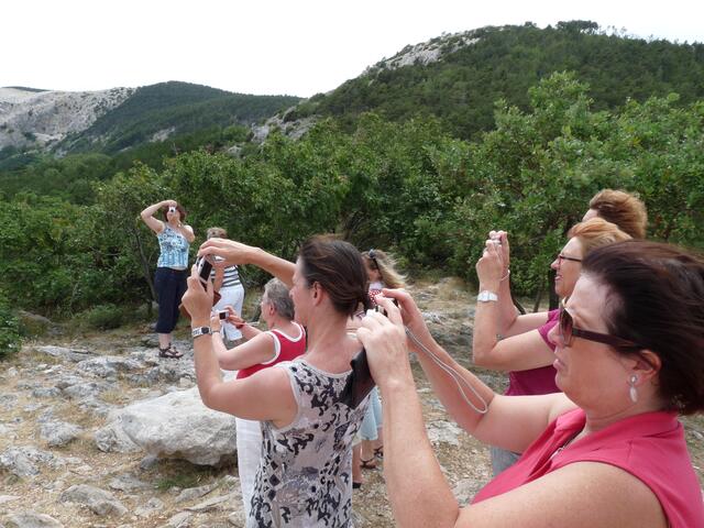 alle wollten diese schöne Landschaft fotografieren