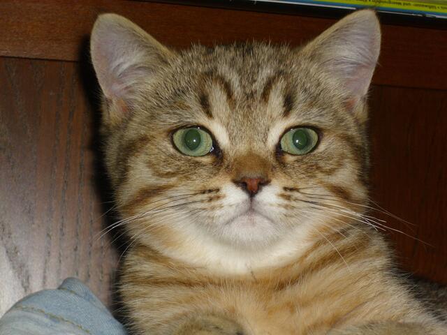 Das Knipserlächeln.....