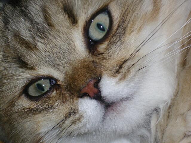 Jamal ist zufrieden....   ;-))