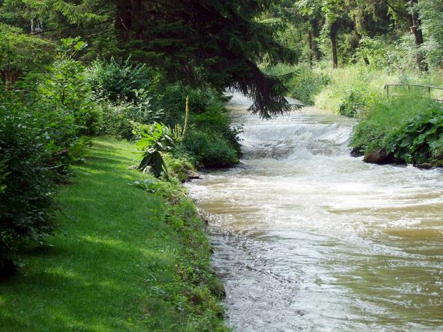 Romatischer Lochbach ...