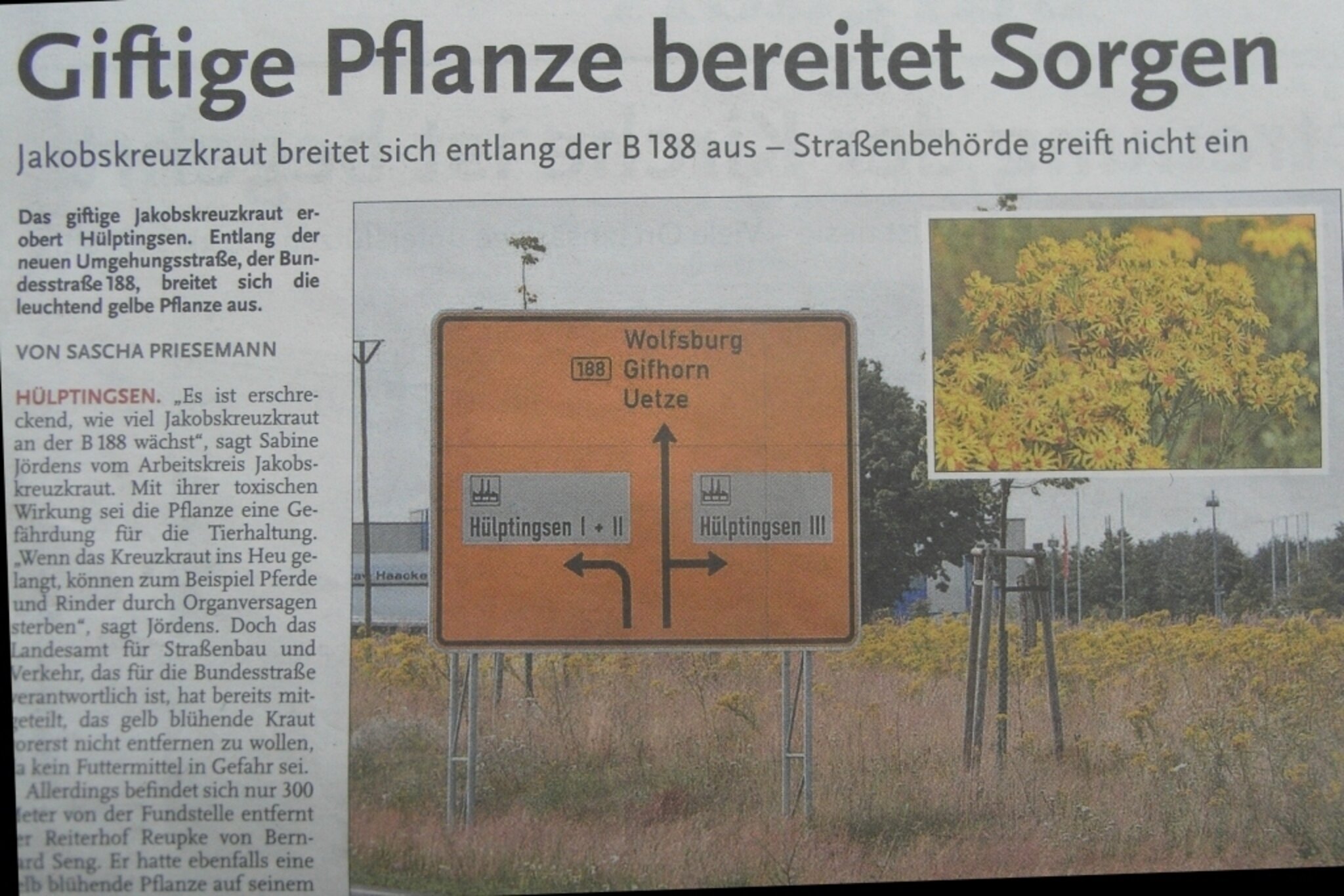 Vor Der Eigenen Tür Kehren Sprüche Vor der eigenen Haustür kehren - Burgdorf