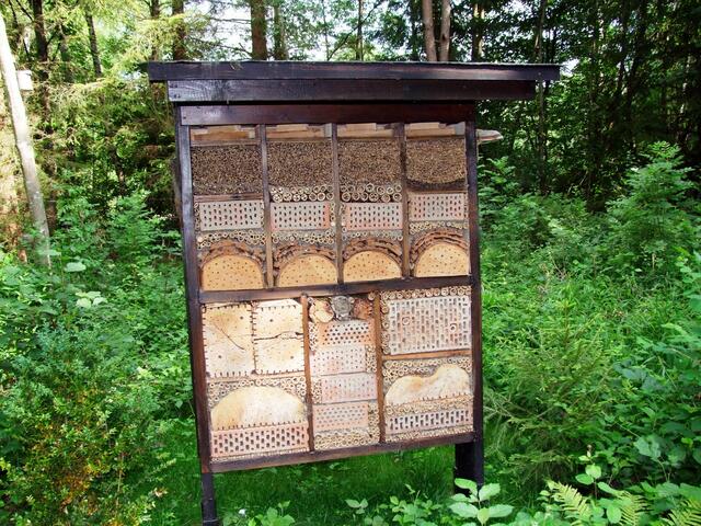 Ein nobeles 6-Sterne-Hotel für Insekten ...