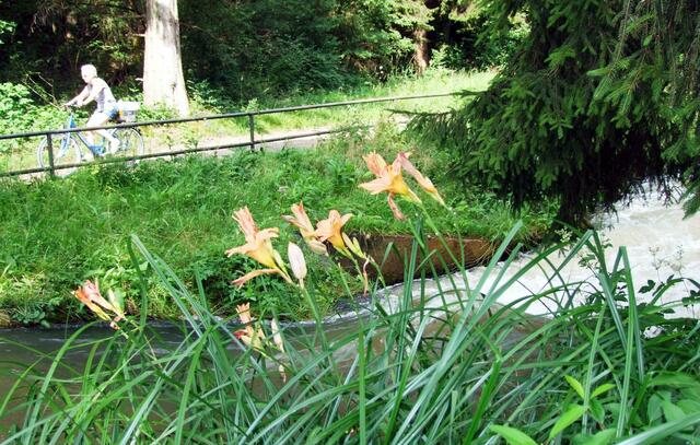 Herrliche Natur am Wege ...