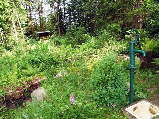 Ein herrlicher Naturgarten ...