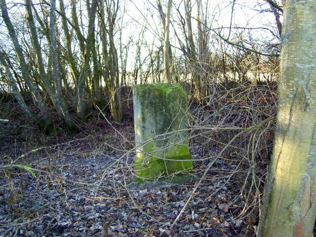 Der geheimnisumwobene Brunnenbach-Stein ...