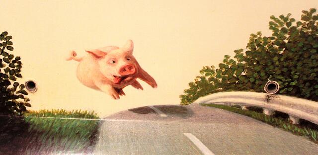 Ein Schwein im Geschwindigkeitsrausch; Foto auf einer Damentoilette der Autobahnraststätte Fläming