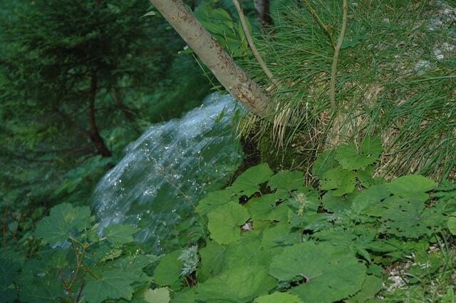 Ja, Herr, Du bist meine Quelle des lebendigen Wassers.