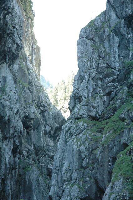 Ja, und es bricht das Licht durch.