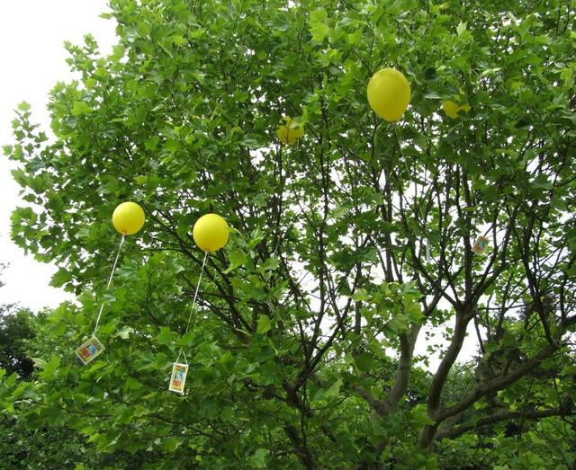 Einige Ballons kommen nicht weit.