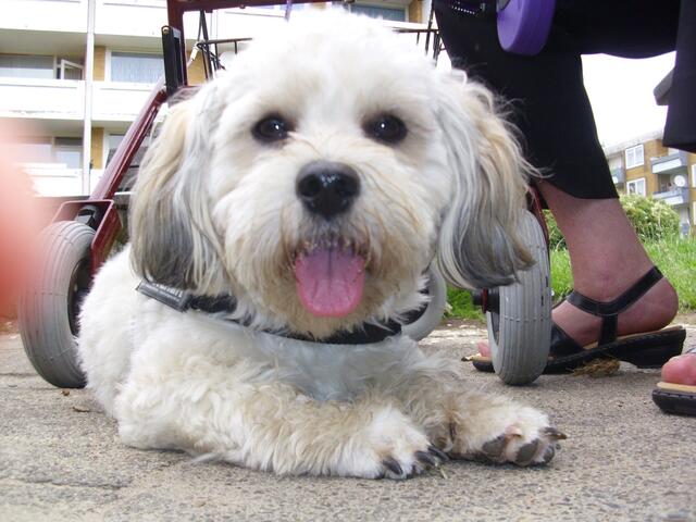 Dich mag ich auch! ;-)